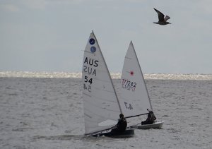 Yvonne Gough in her Laser 4.7 leads Clare Giles in her Europe, whilst a seagull takes a quick look