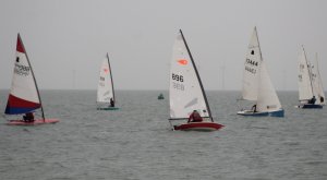 Some of the fleet, beating down the coast to the first mark