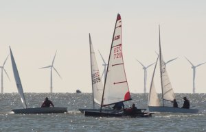 The start of the main race and Brian Allen leads the fleet in his Laser