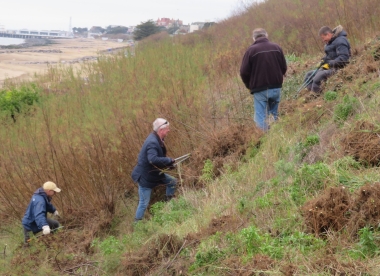 Kirk, Martin, Robert and Ken go to it on the west bank