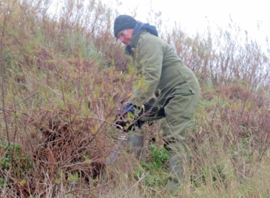 Making quick work of cutting the tamarisk