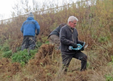 Hedge trimmers, loppers and secateurs were the order of the day