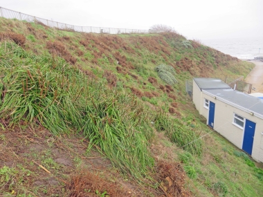 East side of the Club - all clear