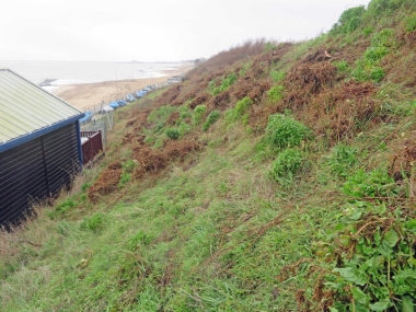 West side of the Club - all clear