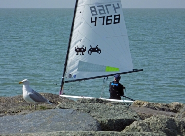 A seagull turns its back on Derroll Pedder in his RS Aero