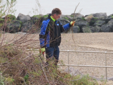 Chris - "Is this a tamarisk which I see before me?"