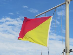 Everybody Out the Water and Off home - the code flag O