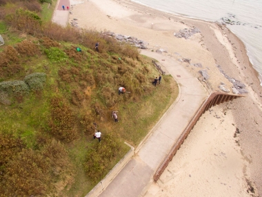 "Like ants on a hillside...." - a group of members cutting back the tamarisk on the cliff