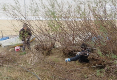 Cutting back the overgrowth