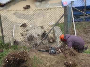 All kitted-out to use the chain saw